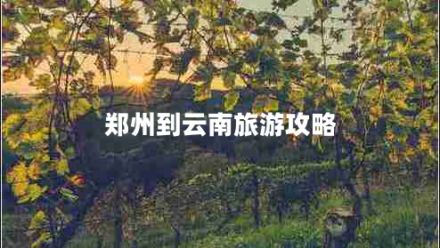 鄭州到云南旅游攻略