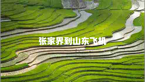 張家界到山東飛機(jī)