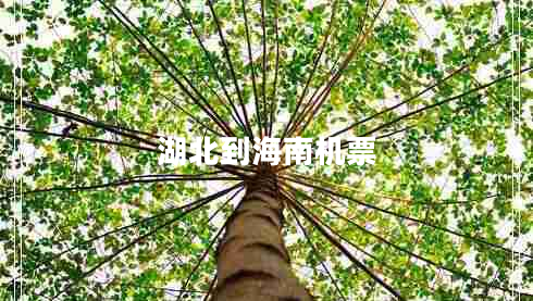 湖北到海南機票