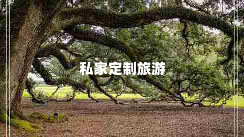 私家定制旅游 私家定制旅游