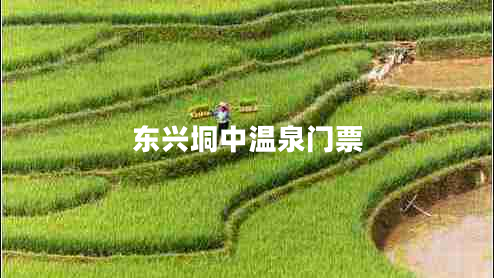 東興垌中溫泉門票