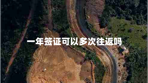 一年簽證可以多次往返嗎 一年簽證可以多次往返嗎