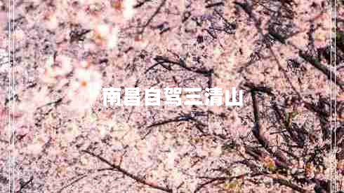 南昌自駕三清山