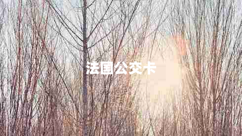 法國(guó)公交卡