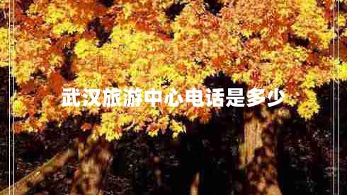 武漢旅游中心電話是多少