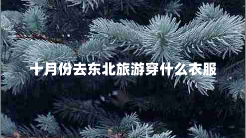 十月份去東北旅游穿什么衣服 十月份去東北旅游穿什么衣服