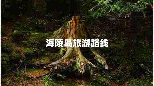 海陵島旅游路線