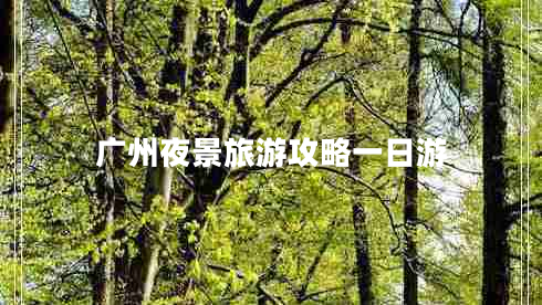 廣州夜景旅游攻略一日游 廣州夜景旅游攻略一日游