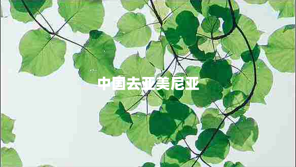 中國(guó)去亞美尼亞