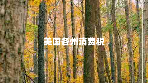 美國各州消費稅
