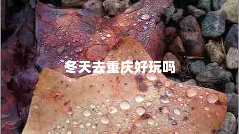 冬天去重慶好玩嗎