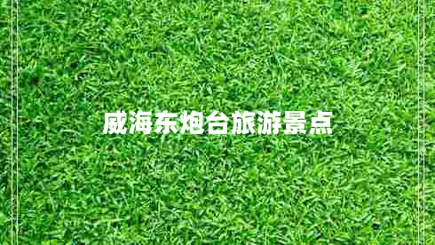 威海東炮臺旅游景點