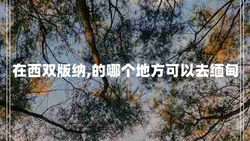 在西雙版納,的哪個地方可以去緬甸