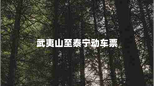 武夷山至泰寧動(dòng)車(chē)票