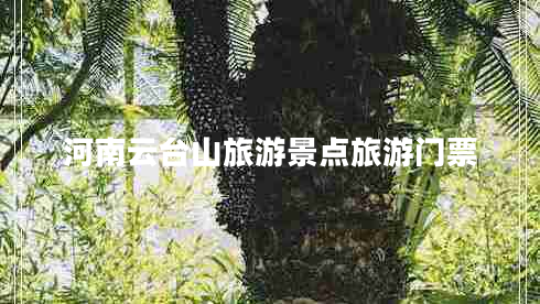 河南云臺山旅游景點旅游門票