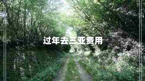 過年去三亞費(fèi)用