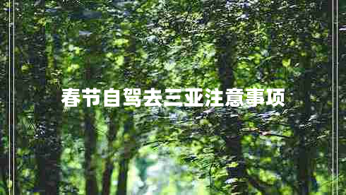 春節(jié)自駕去三亞注意事項(xiàng)