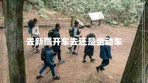 去新疆開車去還是坐動車 去新疆開車去還是坐動車