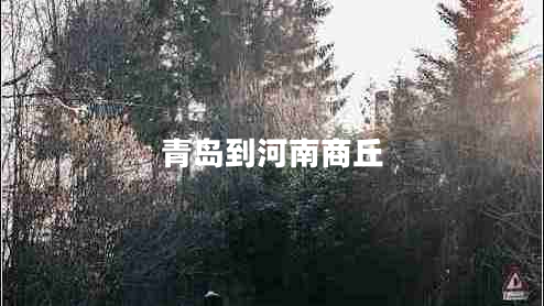 青島到河南商丘