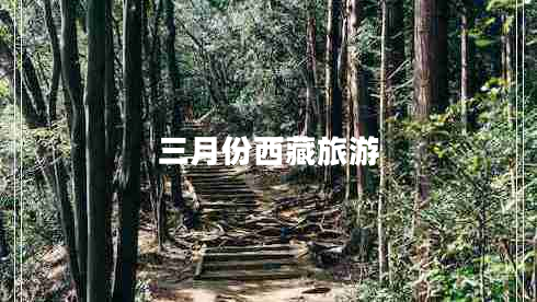 三月份西藏旅游 三月份西藏旅游