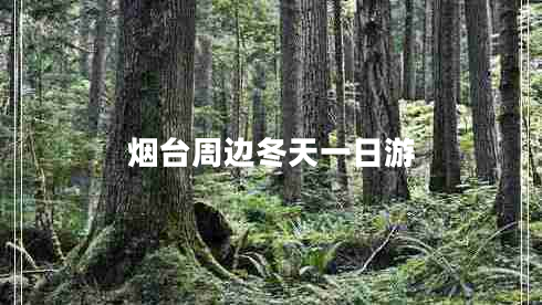 煙臺周邊冬天一日游