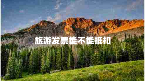 旅游發(fā)票能不能抵扣