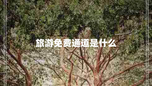 旅游免費(fèi)通道是什么