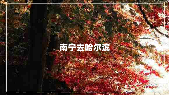 南寧去哈爾濱 南寧去哈爾濱