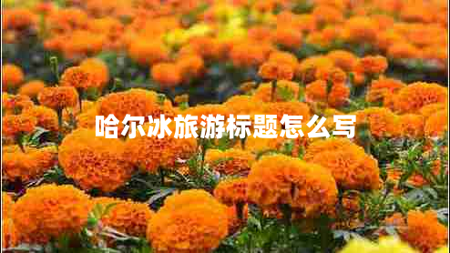 哈爾冰旅游標(biāo)題怎么寫 哈爾冰旅游標(biāo)題怎么寫