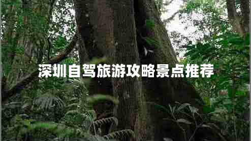 深圳自駕旅游攻略景點(diǎn)推薦