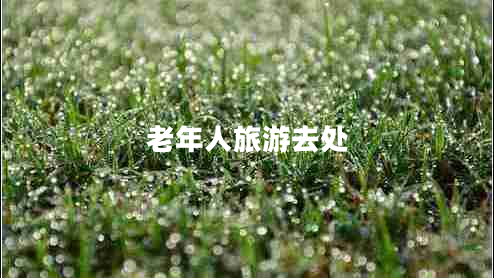 老年人旅游去處 老年人旅游去處