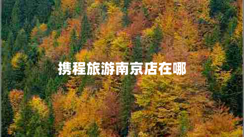 攜程旅游南京店在哪