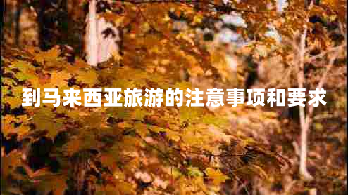 到馬來(lái)西亞旅游的注意事項(xiàng)和要求