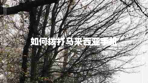 如何撥打馬來西亞手機(jī)