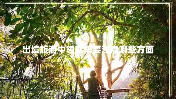 出境旅游中領(lǐng)隊(duì)需要注意哪些方面