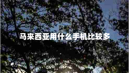 馬來西亞用什么手機比較多