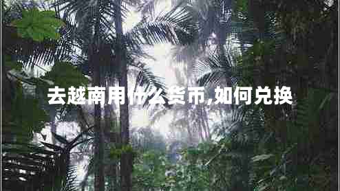 去越南用什么貨幣,如何兌換