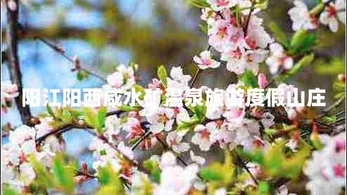 陽江陽西咸水礦溫泉旅游度假山莊