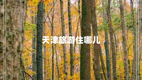 天津旅游住哪兒 天津旅游住哪兒