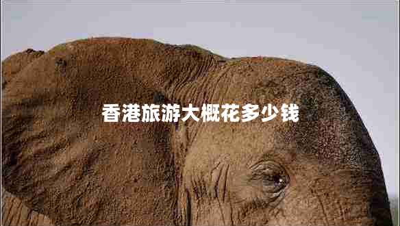 香港旅游大概花多少錢(qián)