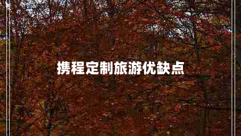 攜程定制旅游優(yōu)缺點