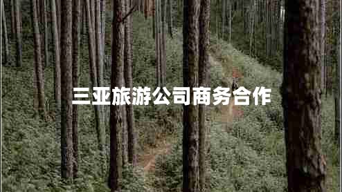 三亞旅游公司商務(wù)合作