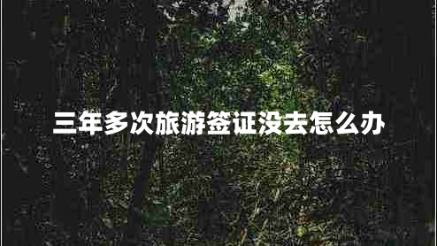 三年多次旅游簽證沒去怎么辦