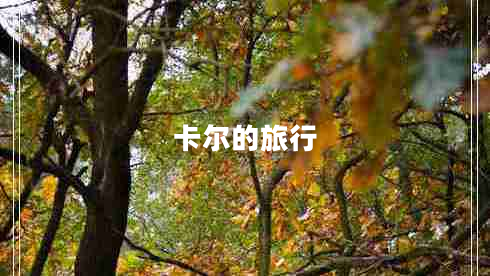 卡爾的旅行 卡爾的旅行