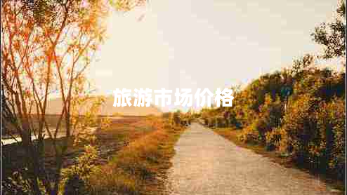 旅游市場(chǎng)價(jià)格