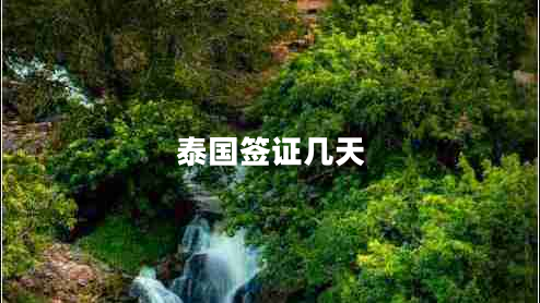 泰國(guó)簽證幾天