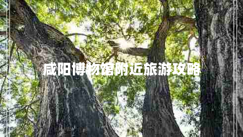 咸陽博物館附近旅游攻略