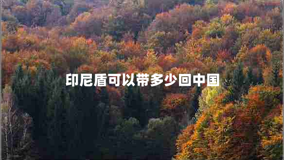 印尼盾可以帶多少回中國