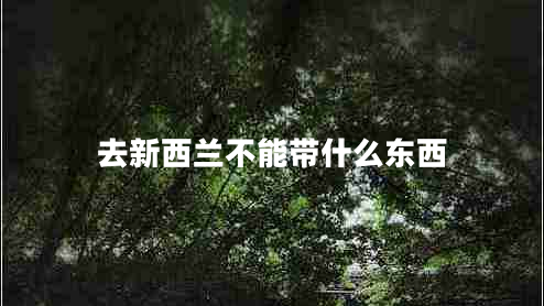 去新西蘭不能帶什么東西 去新西蘭不能帶什么東西