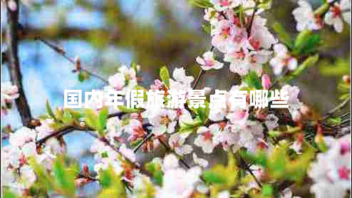 國內(nèi)年假旅游景點(diǎn)有哪些